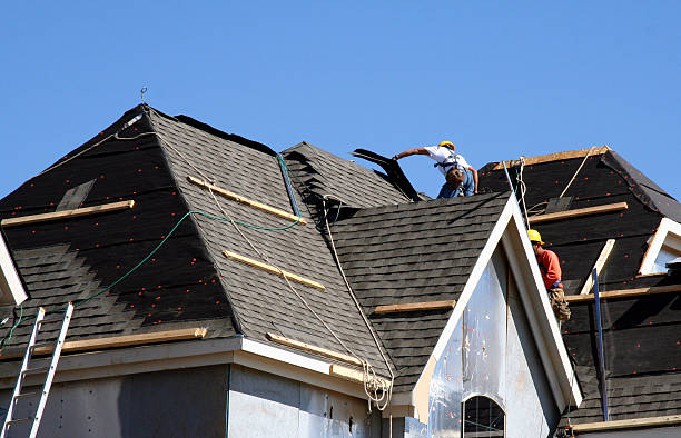 Best Roof Gutter Cleaning  in Little Elm, TX