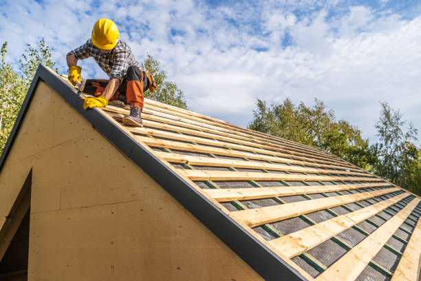Roof Gutter Cleaning in Little Elm, TX